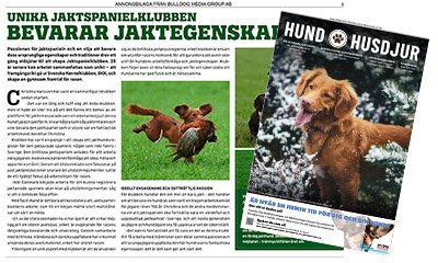 Jaktspanielklubben med i Svenska Dagbladets temabilaga Hund & husdjur